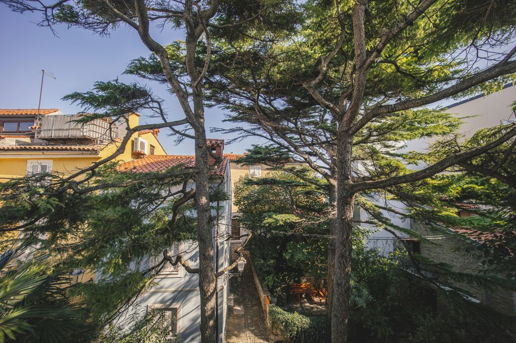 Piran budicinova 8 (10)